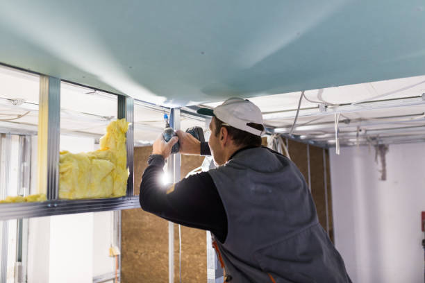 Best Insulation for Specific Applications in Dianapolis, IN