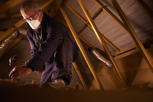 Best Residential Insulation in Dianapolis, IN
